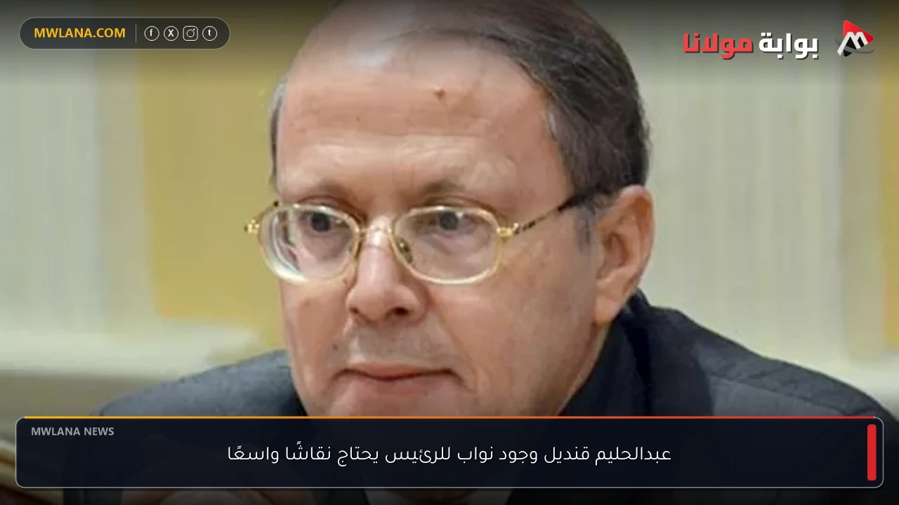 عبدالحليم قنديل وجود نواب للرئيس يحتاج نقاشًا واسعًا