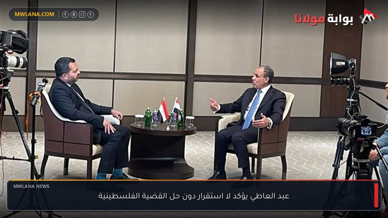 عبد العاطي يؤكد لا استقرار دون حل القضية الفلسطينية