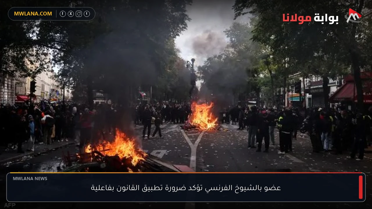 عضو بالشيوخ الفرنسي تؤكد ضرورة تطبيق القانون بفاعلية