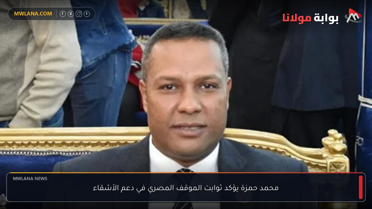 محمد حمزة يؤكد ثوابت الموقف المصري في دعم الأشقاء