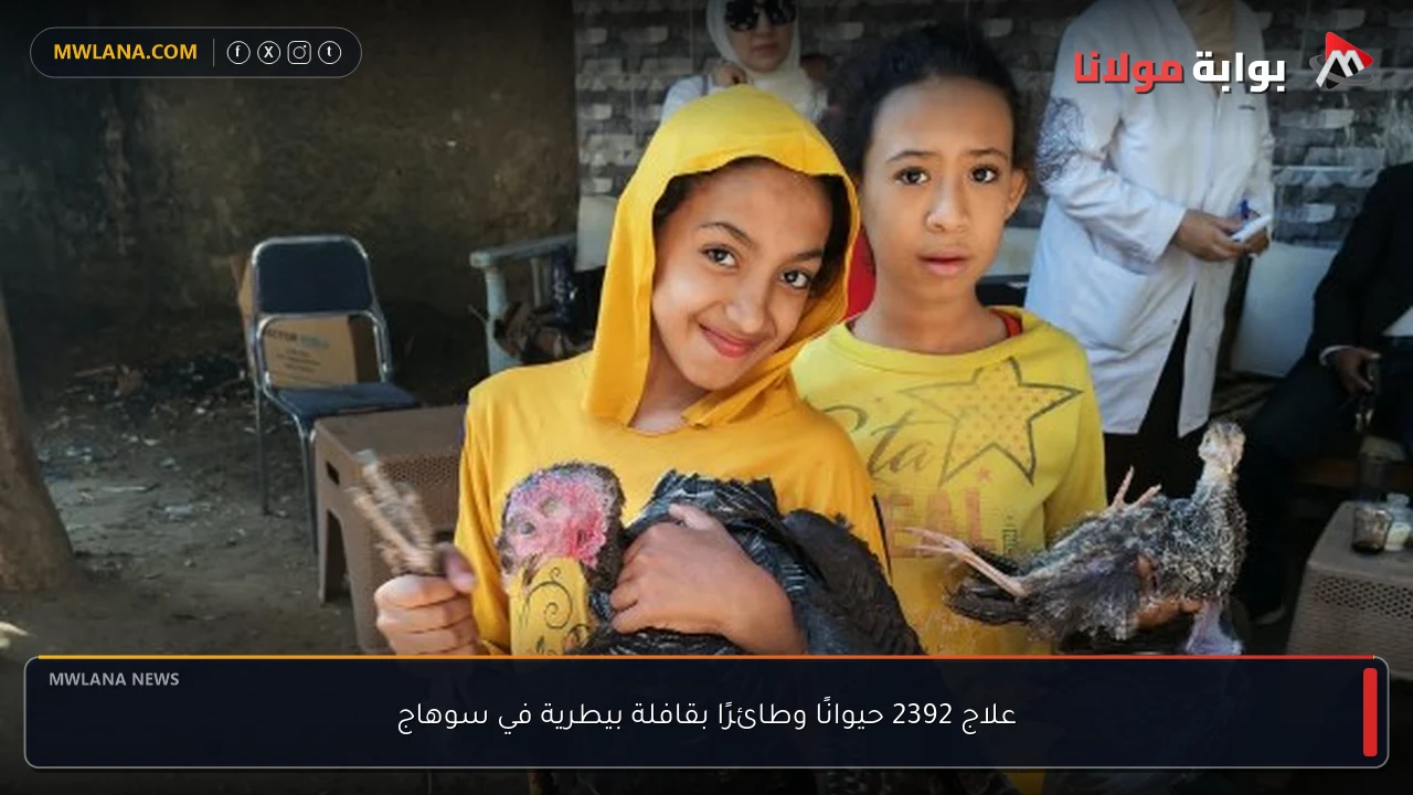 علاج 2392 حيوانًا وطائرًا بقافلة بيطرية في سوهاج