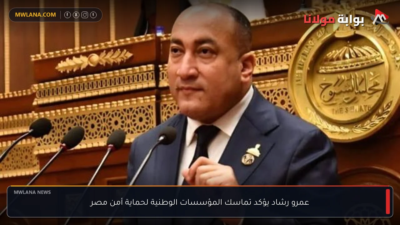 عمرو رشاد يؤكد تماسك المؤسسات الوطنية لحماية أمن مصر
