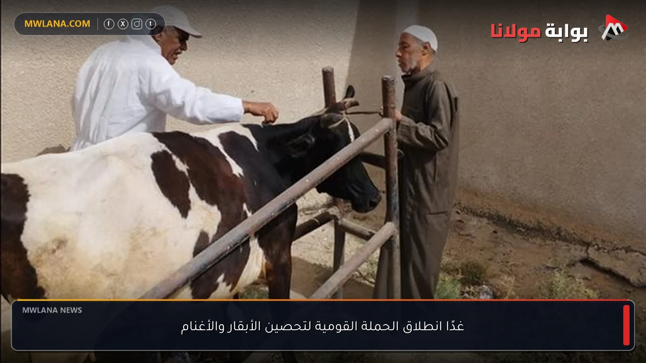 غدًا انطلاق الحملة القومية لتحصين الأبقار والأغنام