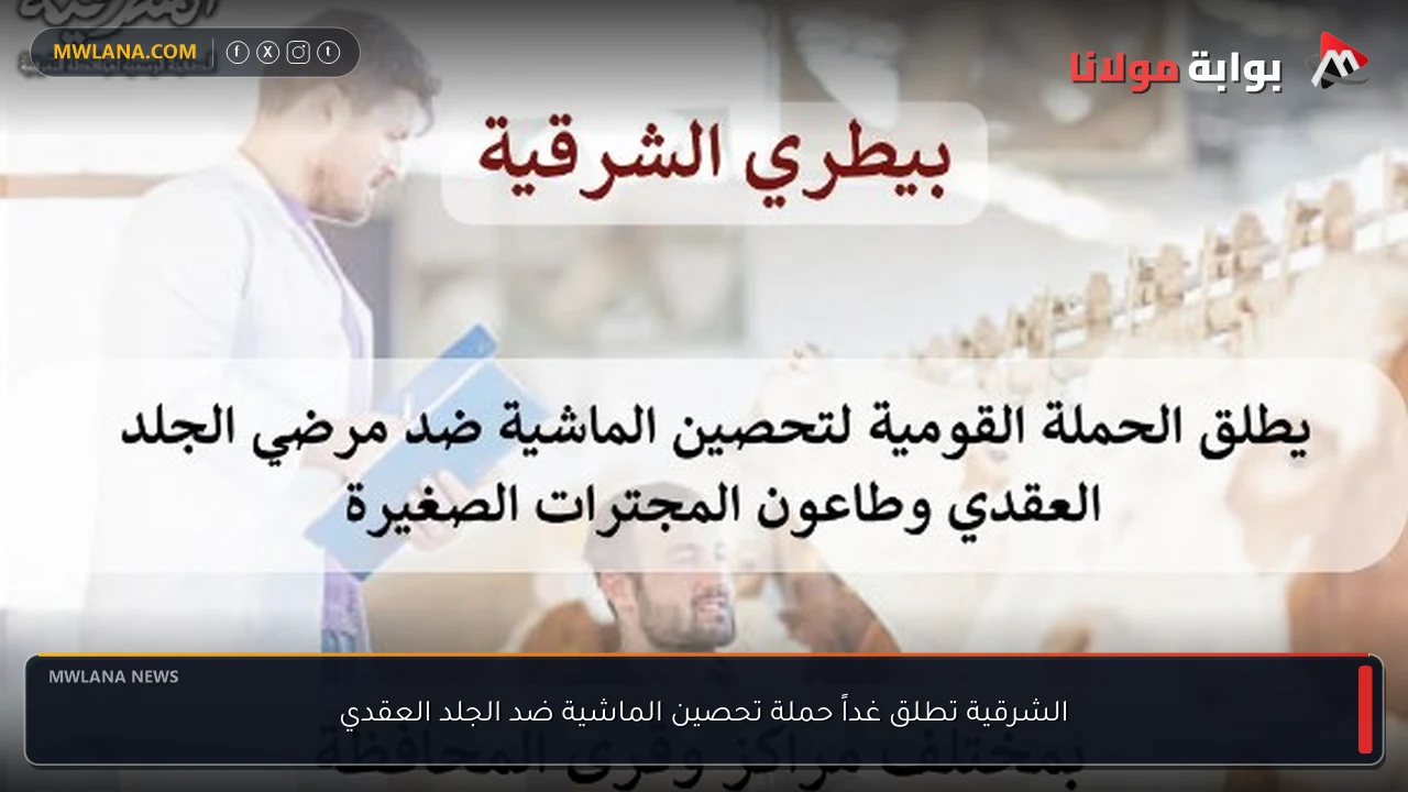 الشرقية تطلق غداً حملة تحصين الماشية ضد الجلد العقدي