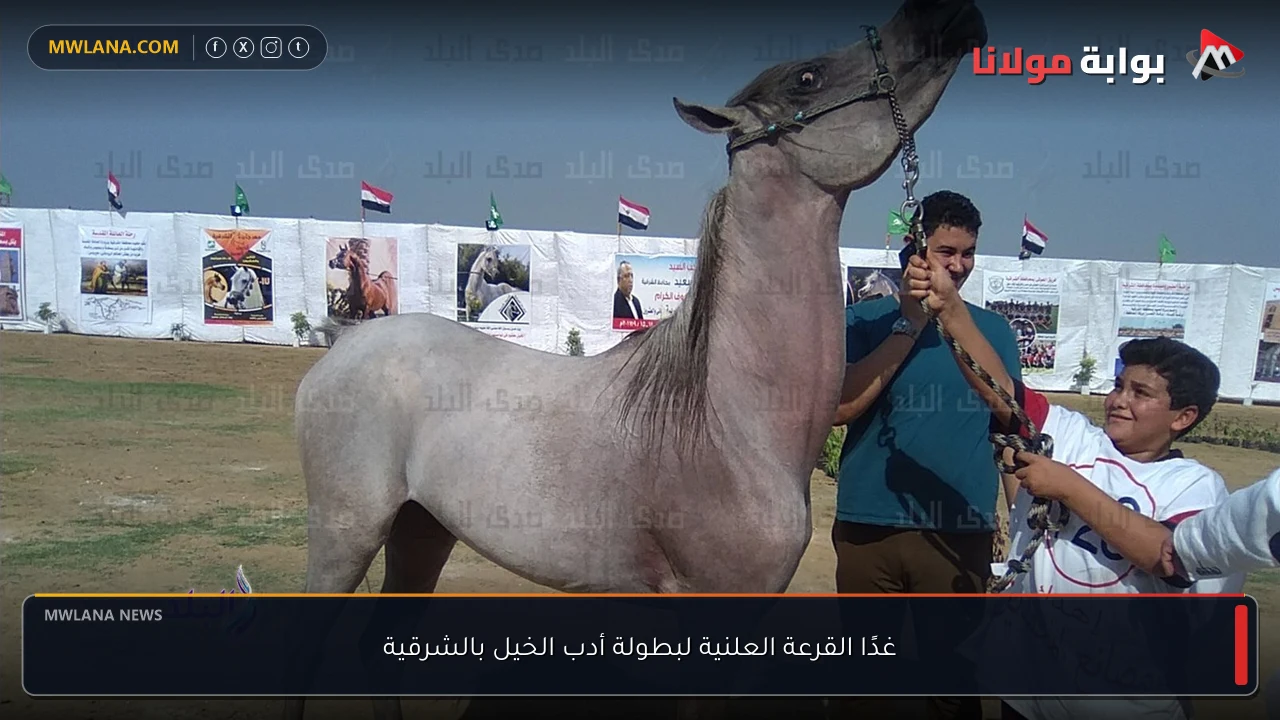 غدًا القرعة العلنية لبطولة أدب الخيل بالشرقية