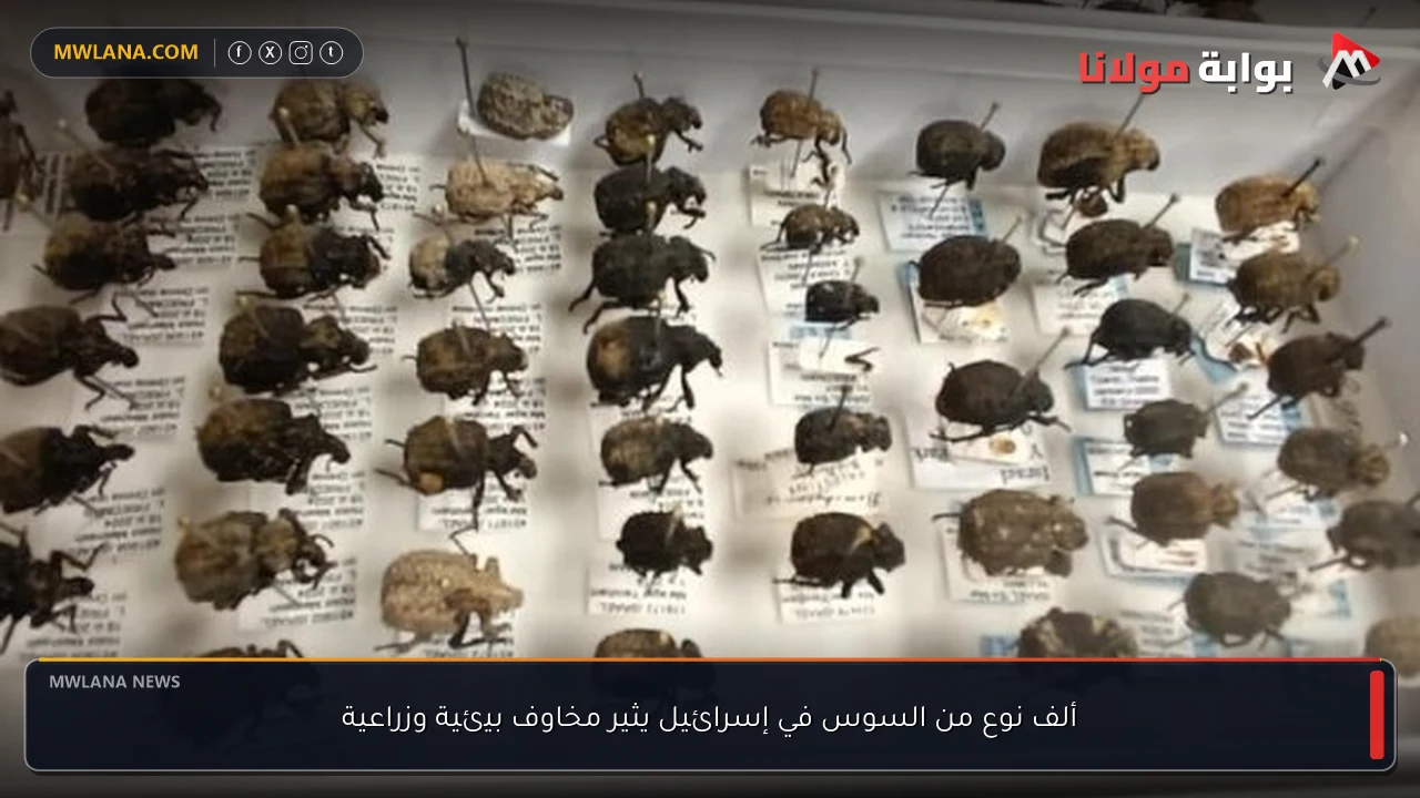 ألف نوع من السوس في إسرائيل يثير مخاوف بيئية وزراعية