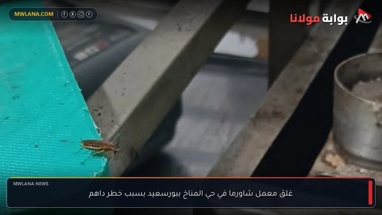 غلق معمل شاورما في حي المناخ ببورسعيد بسبب خطر داهم