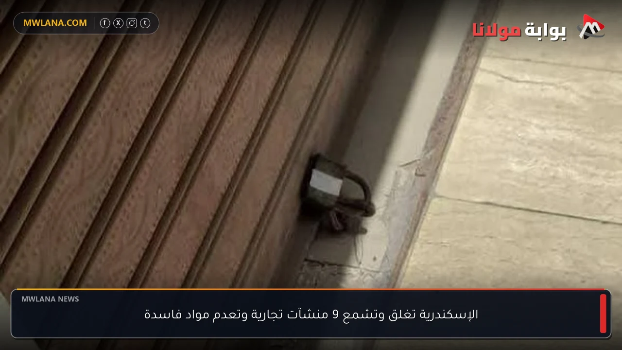 الإسكندرية تغلق وتشمع 9 منشآت تجارية وتعدم مواد فاسدة