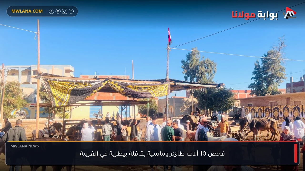 فحص 10 آلاف طائر وماشية بقافلة بيطرية في الغربية