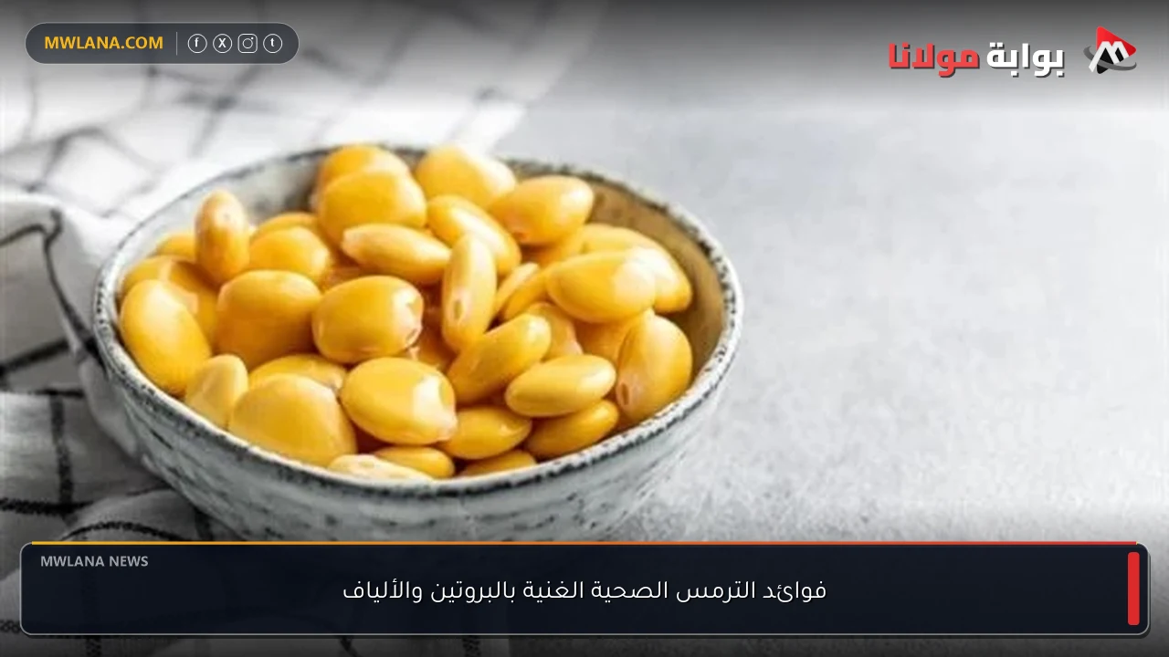 فوائد الترمس الصحية الغنية بالبروتين والألياف