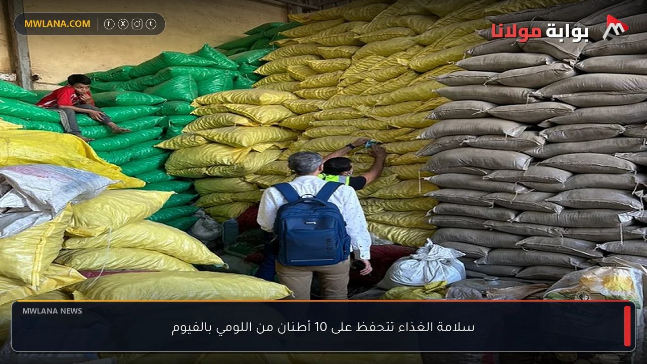 سلامة الغذاء تتحفظ على 10 أطنان من اللومي بالفيوم