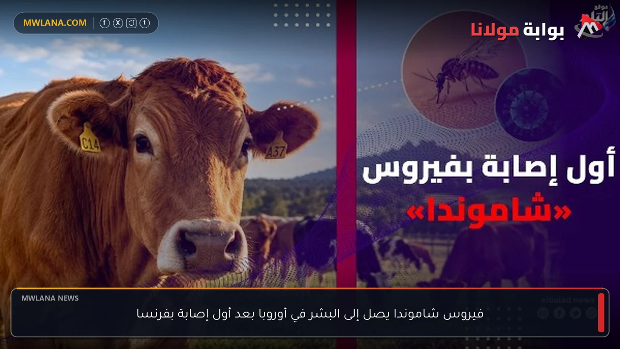 فيروس شاموندا يصل إلى البشر في أوروبا بعد أول إصابة بفرنسا
