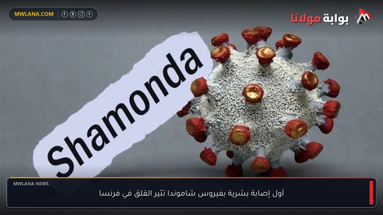 أول إصابة بشرية بفيروس شاموندا تثير القلق في فرنسا