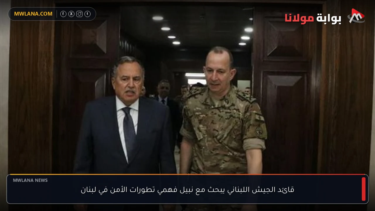 قائد الجيش اللبناني يبحث مع نبيل فهمي تطورات الأمن في لبنان