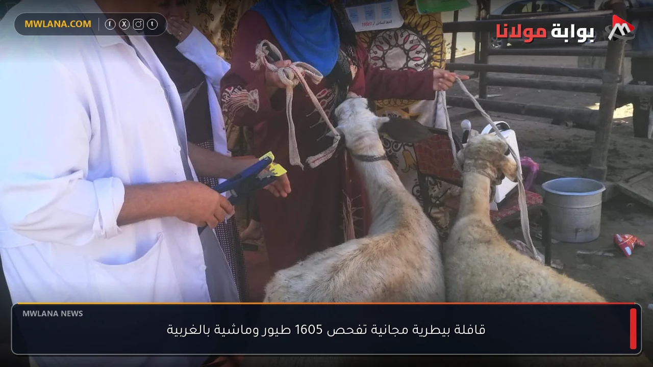 قافلة بيطرية مجانية تفحص 1605 طيور وماشية بالغربية