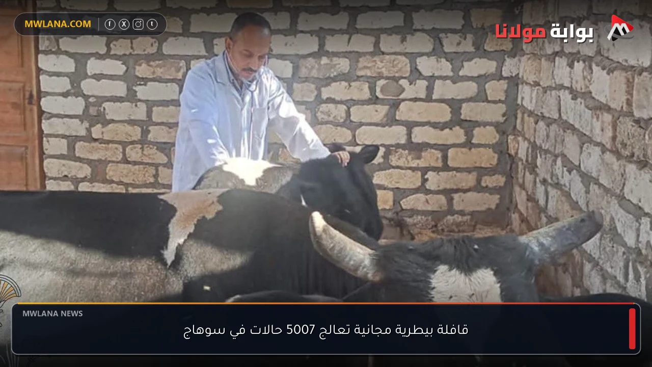 قافلة بيطرية مجانية تعالج 5007 حالات في سوهاج
