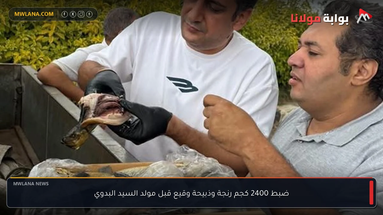 ضبط 2400 كجم رنجة وذبيحة وقيع قبل مولد السيد البدوي