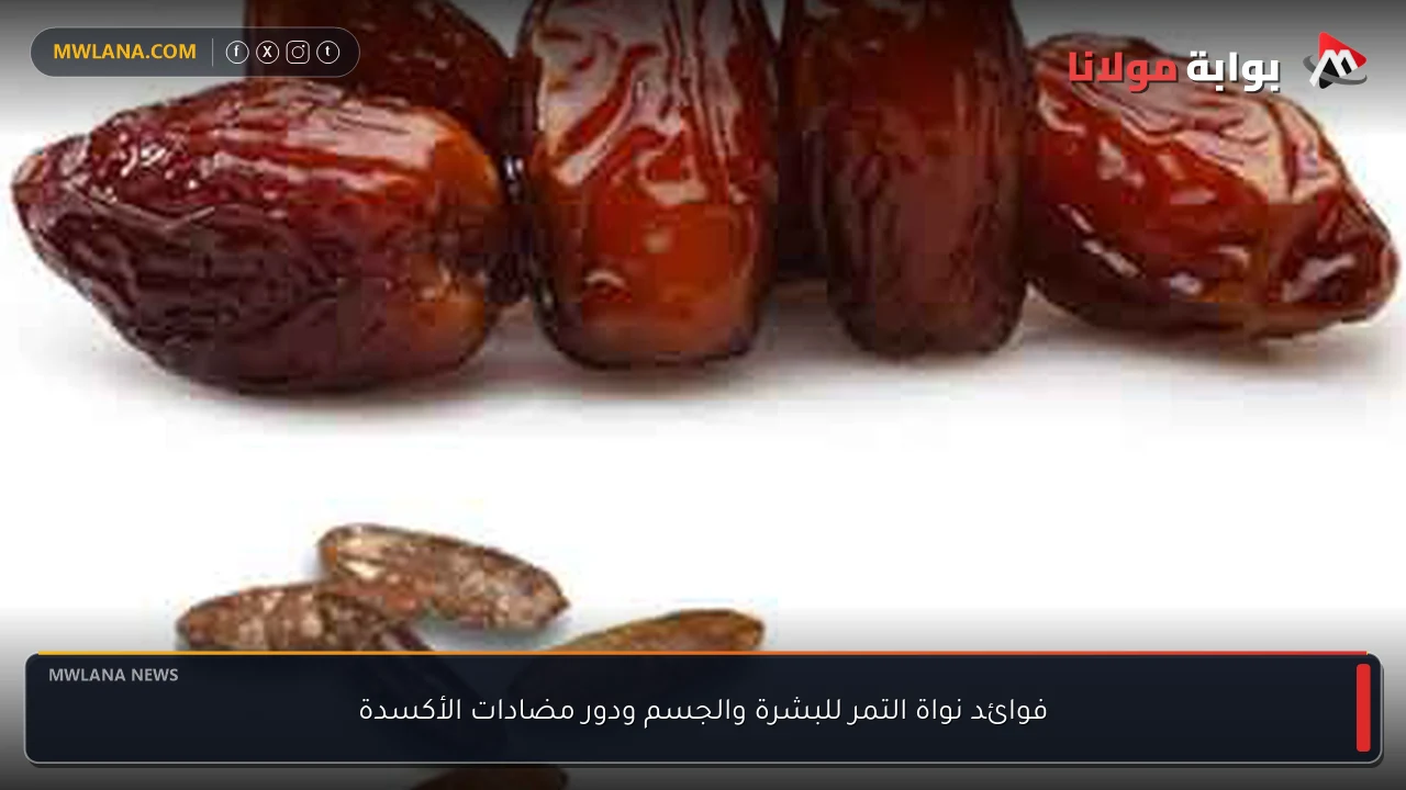 فوائد نواة التمر للبشرة والجسم ودور مضادات الأكسدة