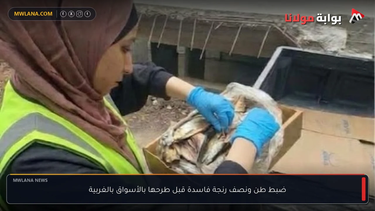 ضبط طن ونصف رنجة فاسدة قبل طرحها بالأسواق بالغربية