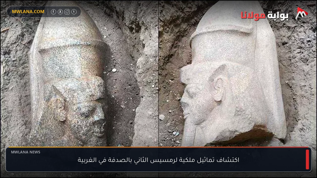 اكتشاف تماثيل ملكية لرمسيس الثاني بالصدفة في الغربية