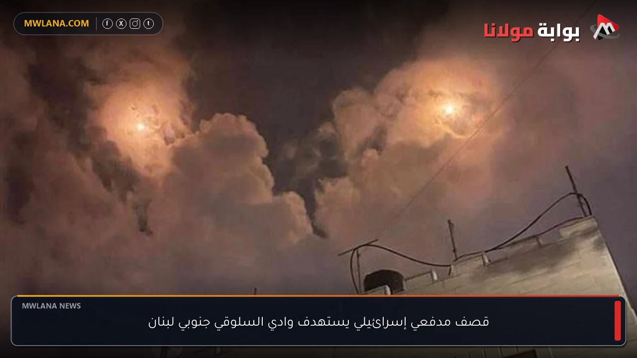 قصف مدفعي إسرائيلي يستهدف وادي السلوقي جنوبي لبنان