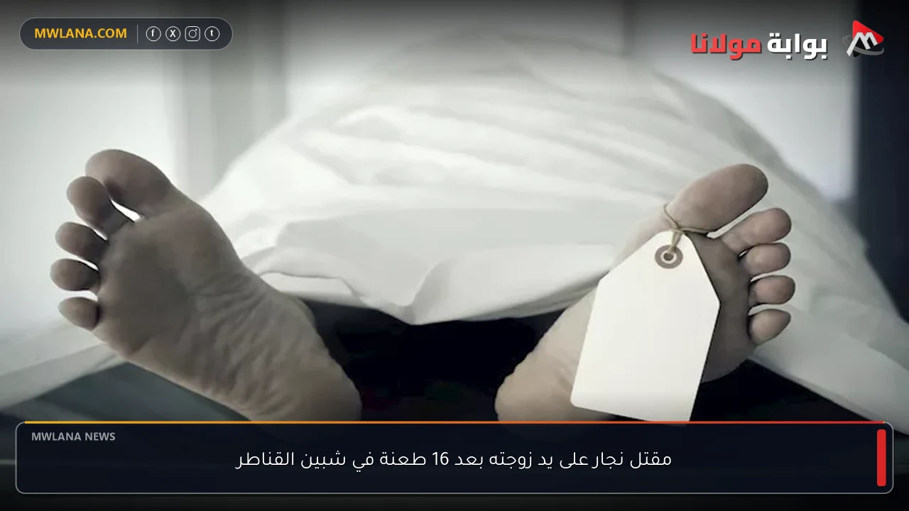 مقتل نجار على يد زوجته بعد 16 طعنة في شبين القناطر