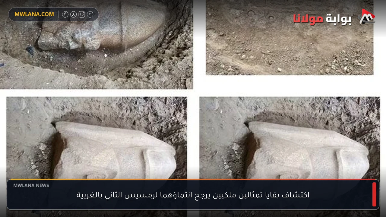 اكتشاف بقايا تمثالين ملكيين يرجح انتماؤهما لرمسيس الثاني بالغربية