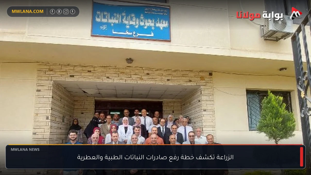 الزراعة تكشف خطة رفع صادرات النباتات الطبية والعطرية