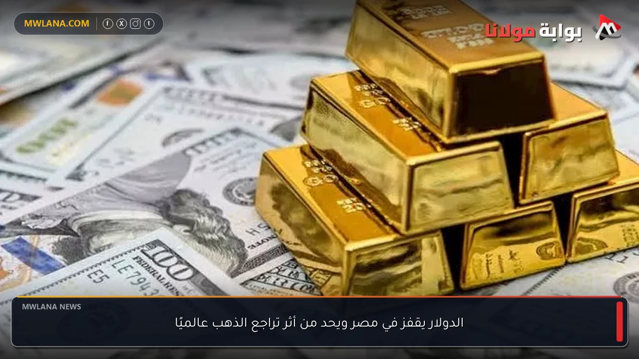 الدولار يقفز في مصر ويحد من أثر تراجع الذهب عالميًا
