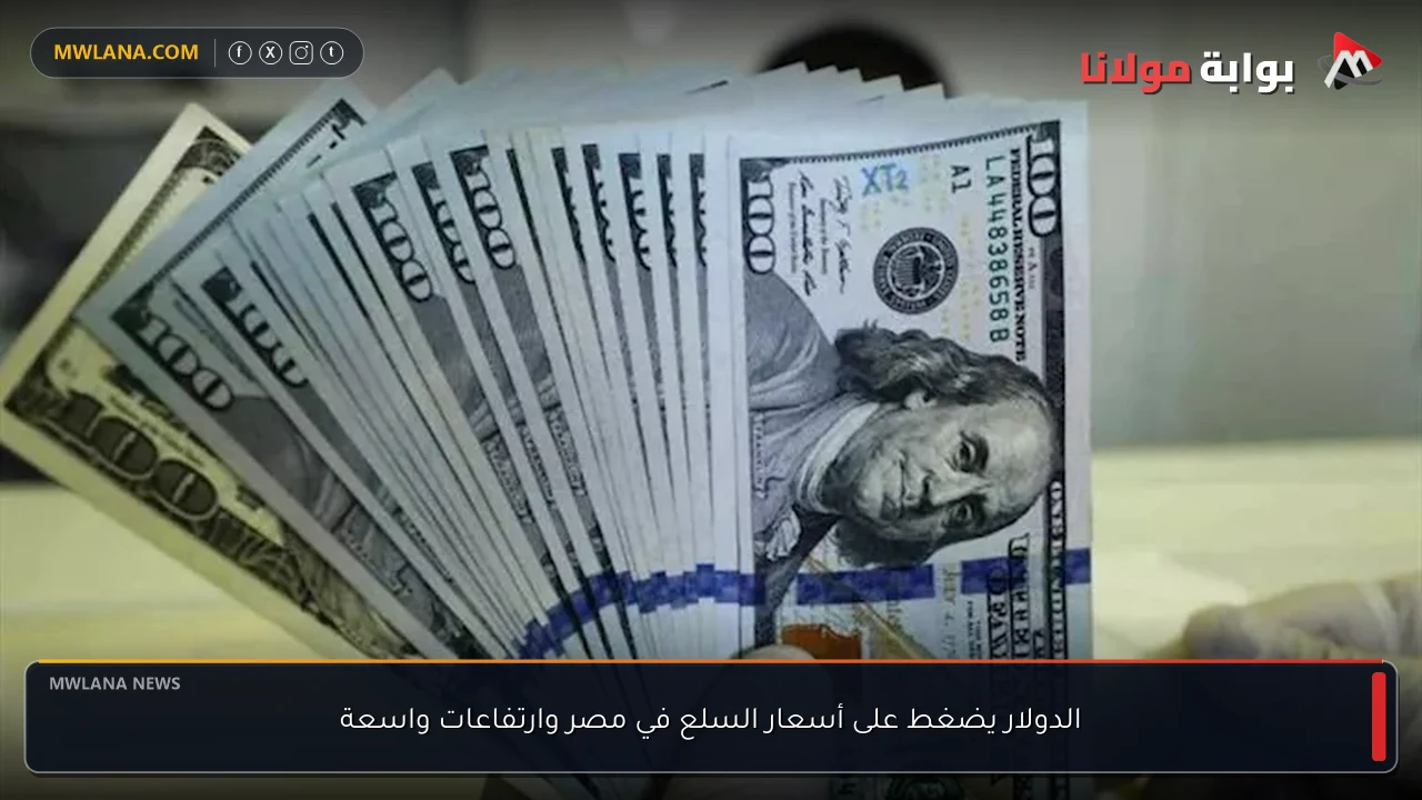 الدولار يضغط على أسعار السلع في مصر وارتفاعات واسعة