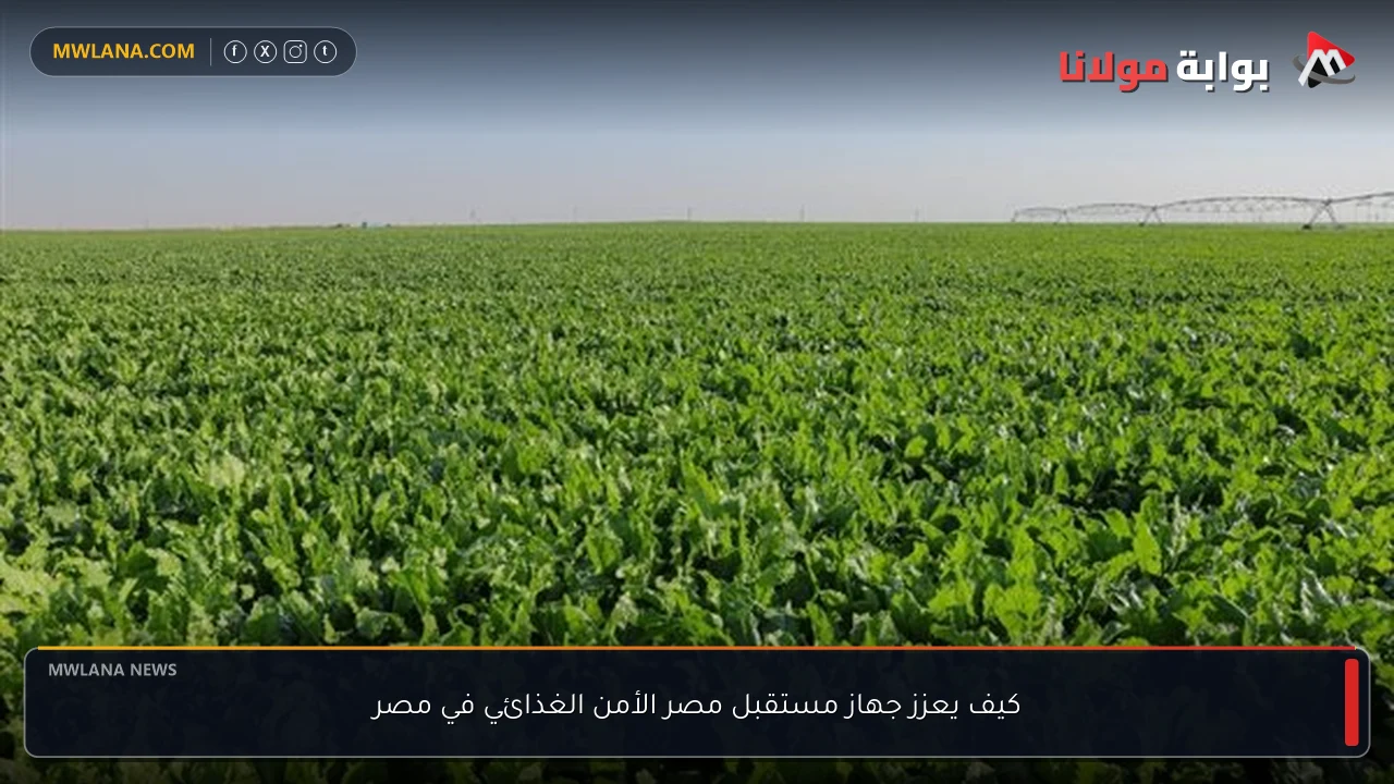 كيف يعزز جهاز مستقبل مصر الأمن الغذائي في مصر