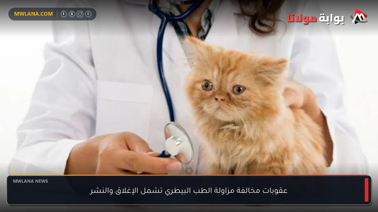 عقوبات مخالفة مزاولة الطب البيطري تشمل الإغلاق والنشر