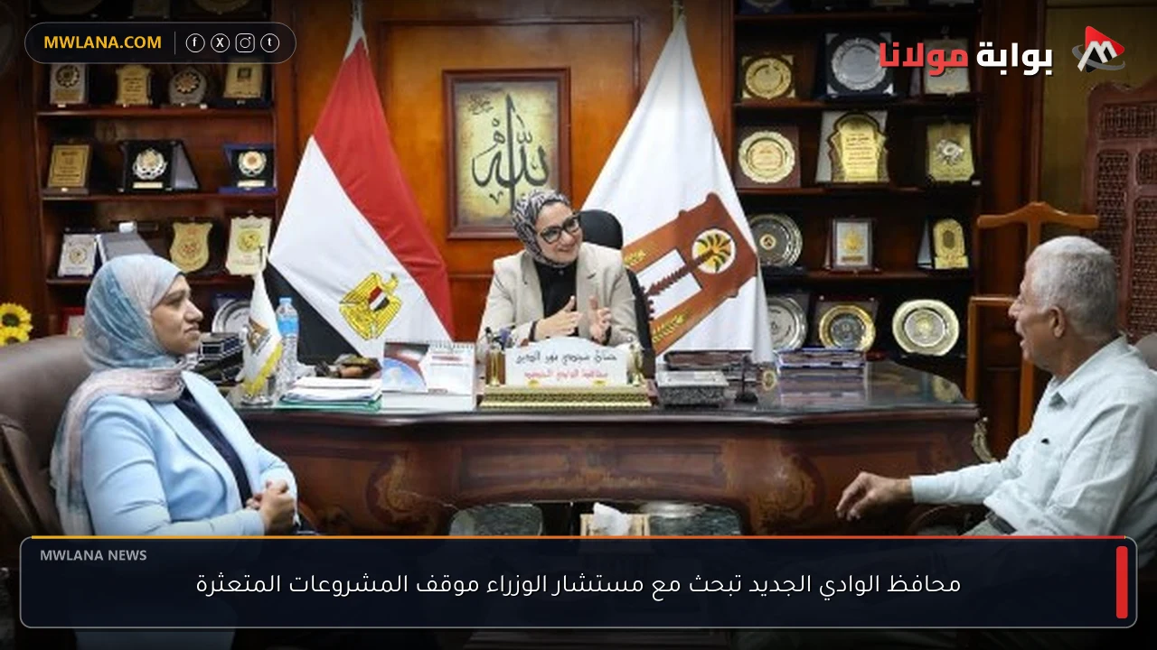 محافظ الوادي الجديد تبحث مع مستشار الوزراء موقف المشروعات المتعثرة