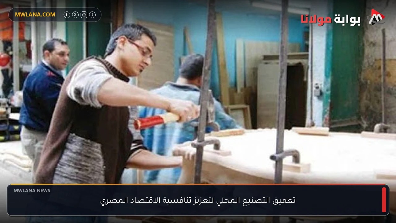 تعميق التصنيع المحلي لتعزيز تنافسية الاقتصاد المصري