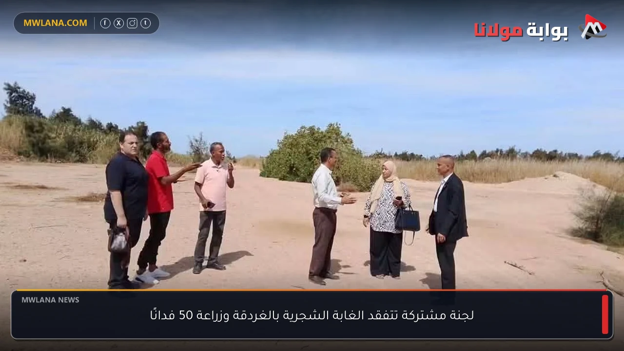 لجنة مشتركة تتفقد الغابة الشجرية بالغردقة وزراعة 50 فدانًا