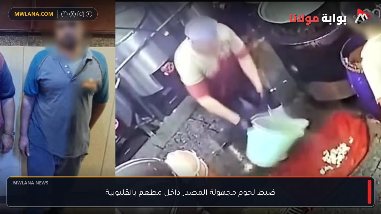 ضبط لحوم مجهولة المصدر داخل مطعم بالقليوبية