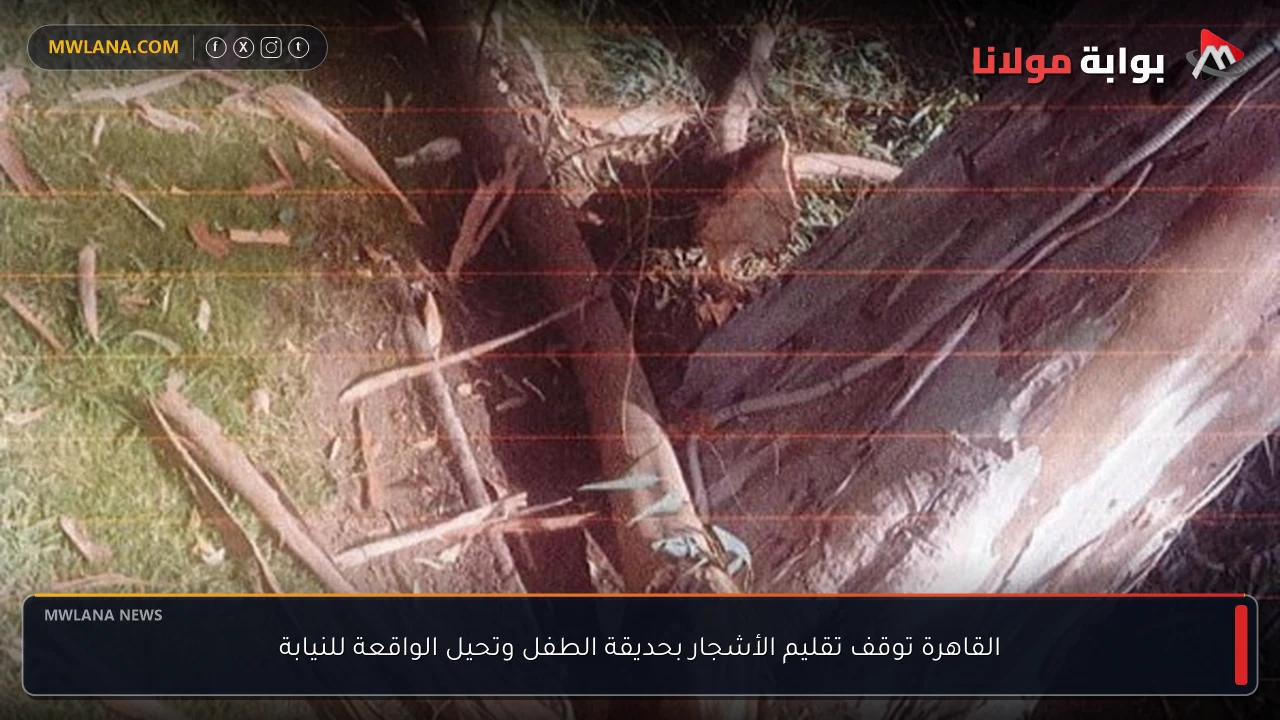 القاهرة توقف تقليم الأشجار بحديقة الطفل وتحيل الواقعة للنيابة