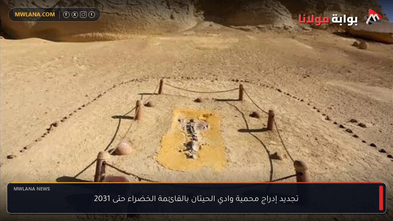 تجديد إدراج محمية وادي الحيتان بالقائمة الخضراء حتى 2031