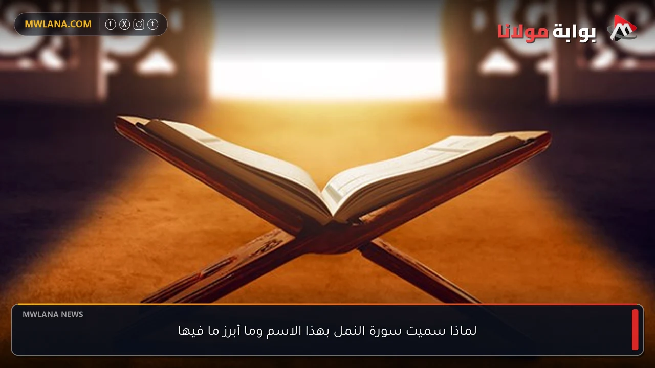 لماذا سميت سورة النمل بهذا الاسم وما أبرز ما فيها