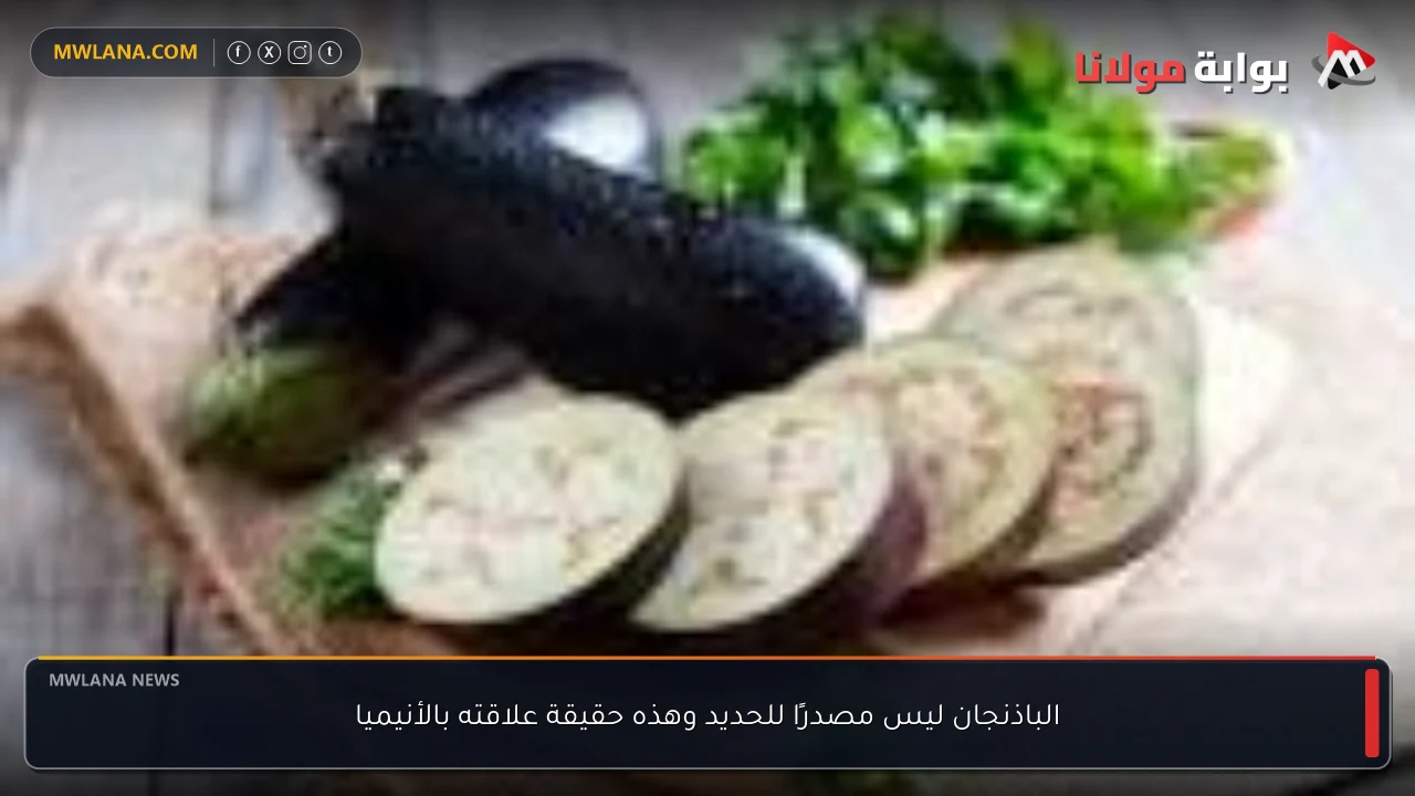 الباذنجان ليس مصدرًا للحديد وهذه حقيقة علاقته بالأنيميا