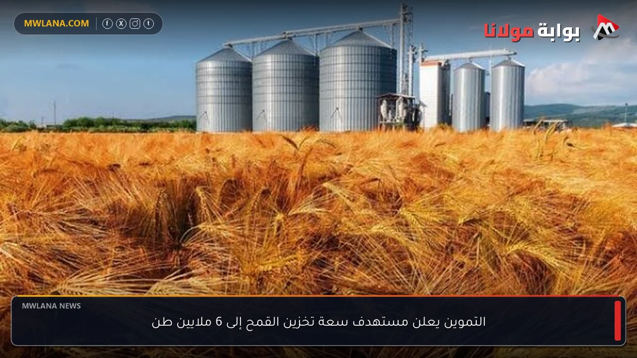 التموين يعلن مستهدف سعة تخزين القمح إلى 6 ملايين طن
