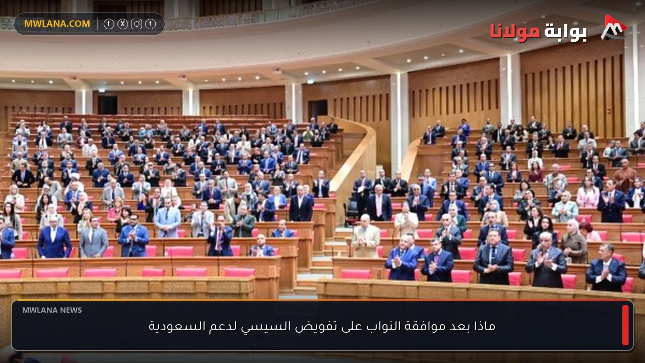 ماذا بعد موافقة النواب على تفويض السيسي لدعم السعودية
