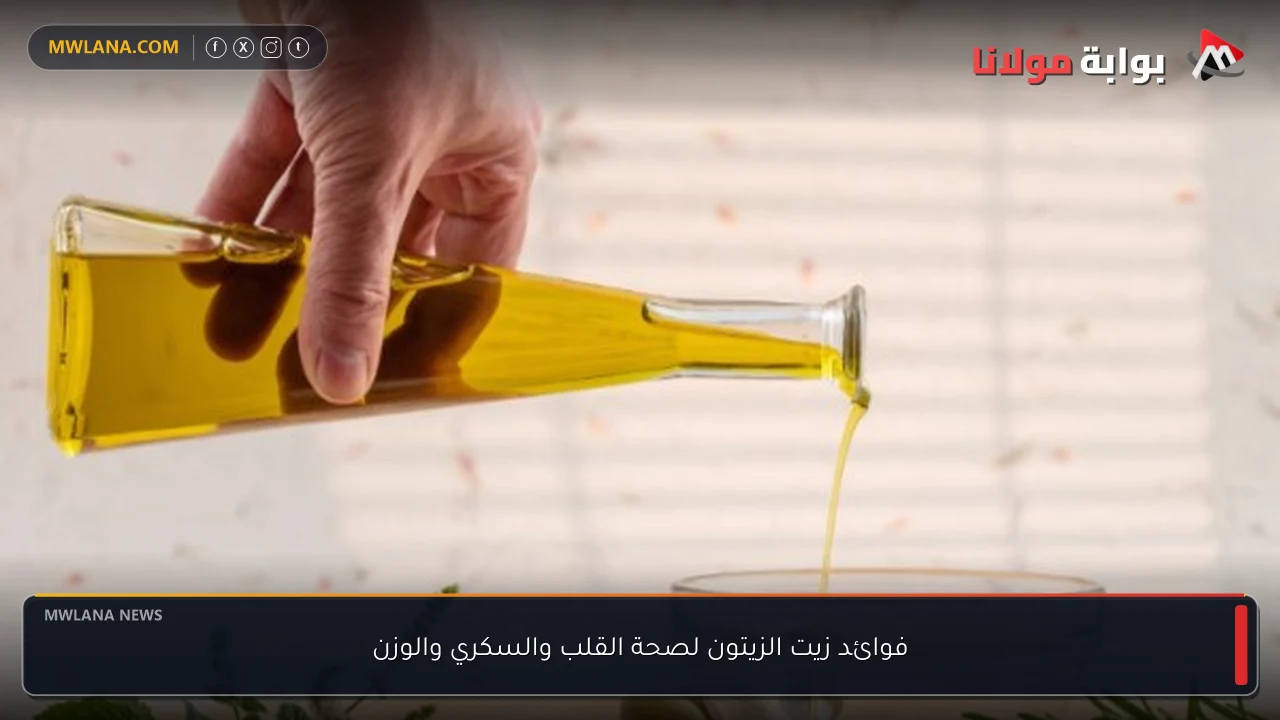فوائد زيت الزيتون لصحة القلب والسكري والوزن