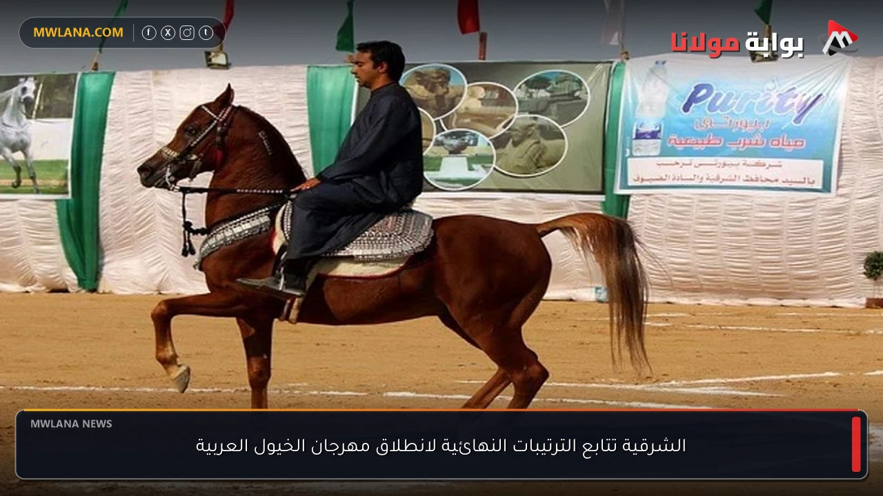 الشرقية تتابع الترتيبات النهائية لانطلاق مهرجان الخيول العربية