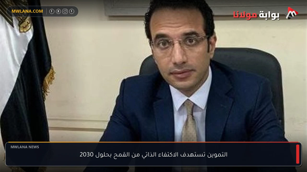التموين تستهدف الاكتفاء الذاتي من القمح بحلول 2030