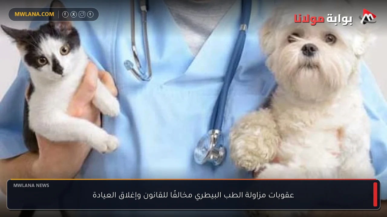 عقوبات مزاولة الطب البيطري مخالفًا للقانون وإغلاق العيادة