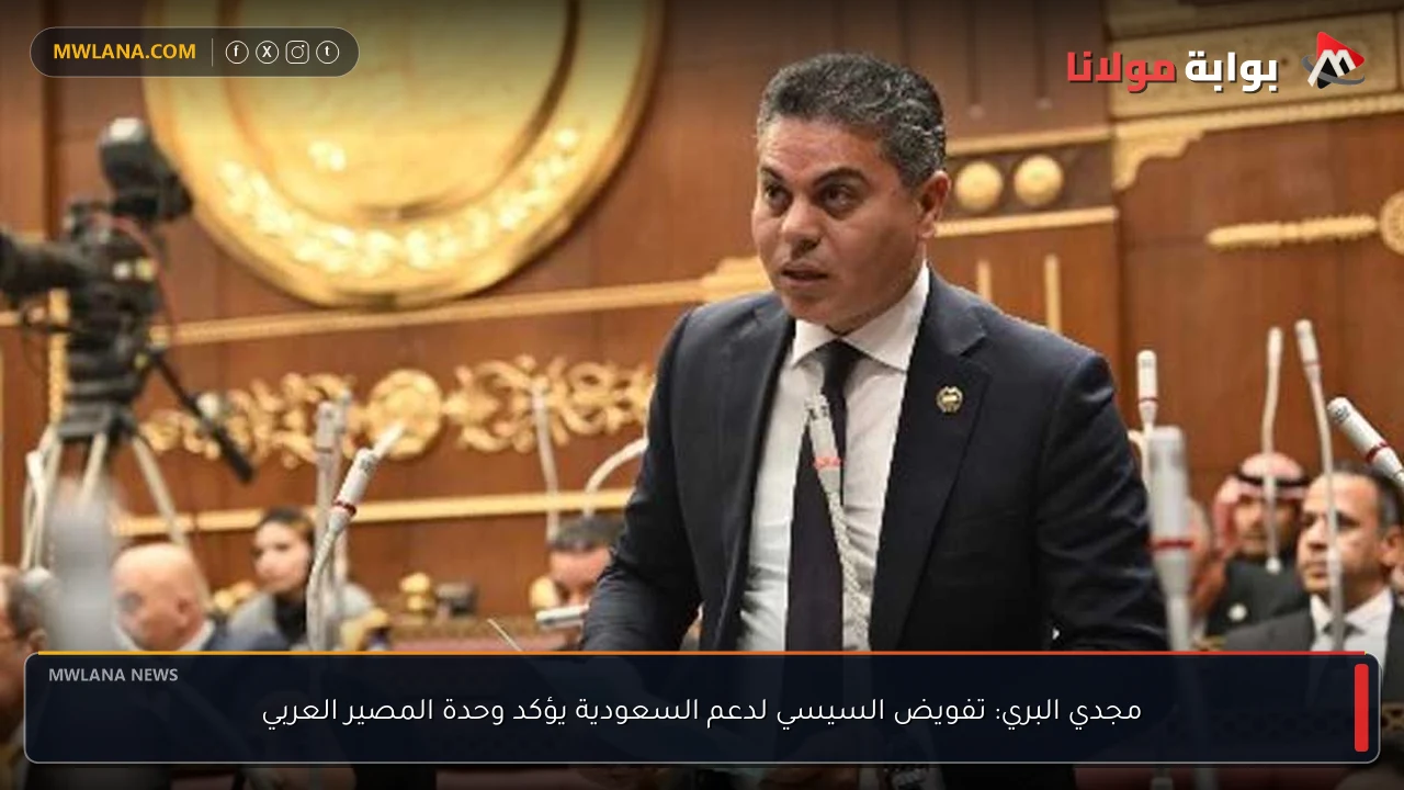 مجدي البري: تفويض السيسي لدعم السعودية يؤكد وحدة المصير العربي