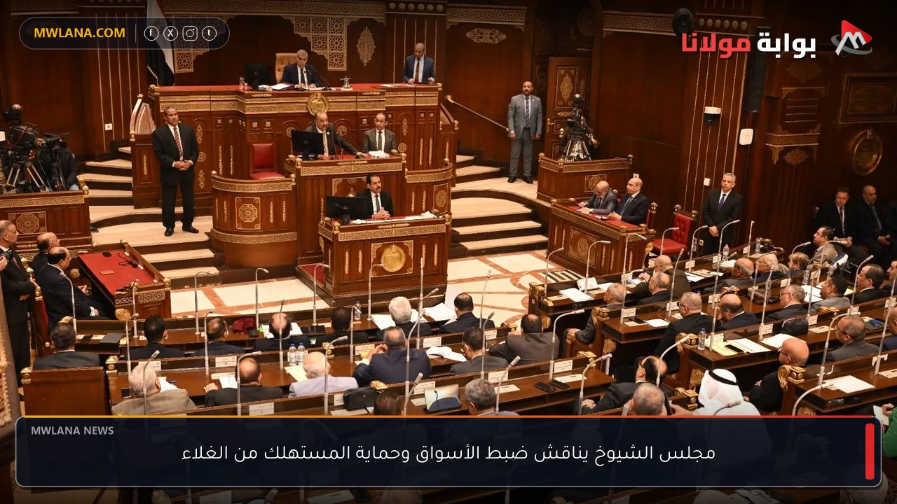 مجلس الشيوخ يناقش ضبط الأسواق وحماية المستهلك من الغلاء