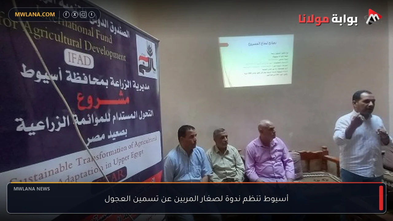 أسيوط تنظم ندوة لصغار المربين عن تسمين العجول