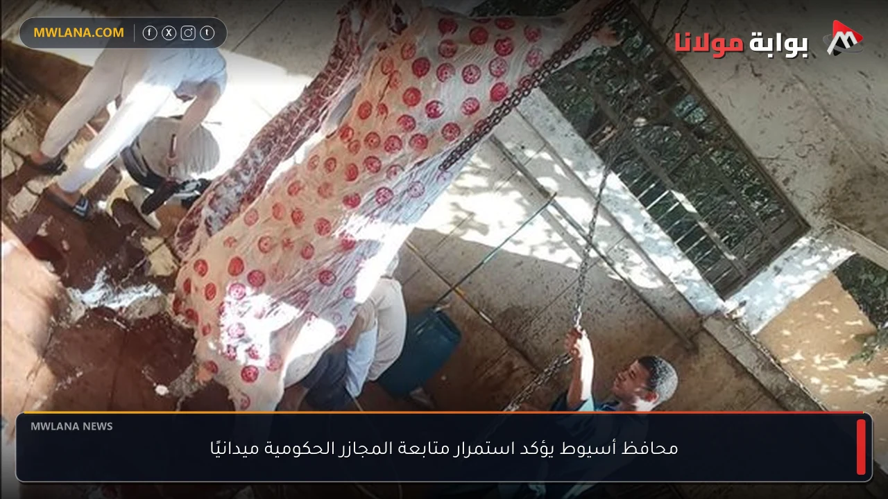 محافظ أسيوط يؤكد استمرار متابعة المجازر الحكومية ميدانيًا